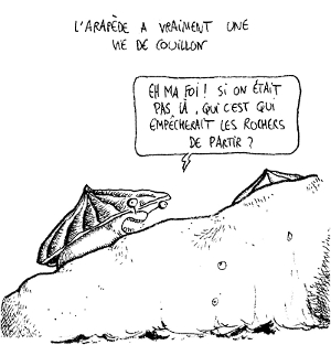 Le Parler gras extrait 3